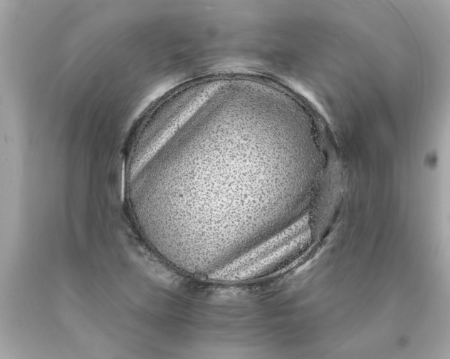 X0000089951219200707201918