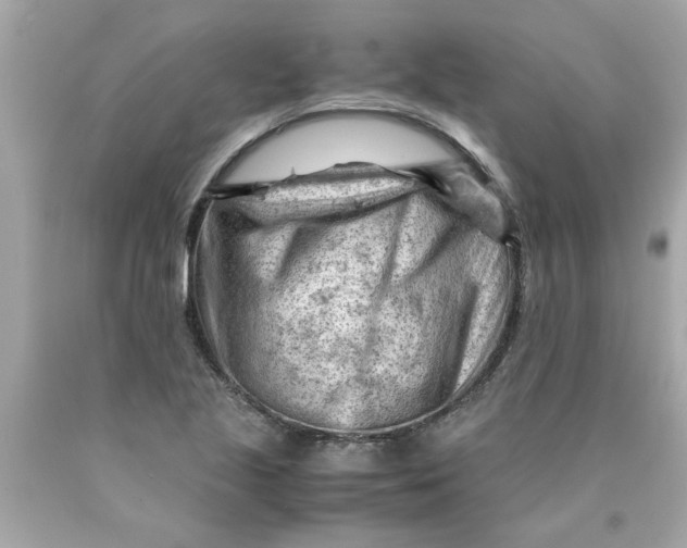 X0000089951221200707201918