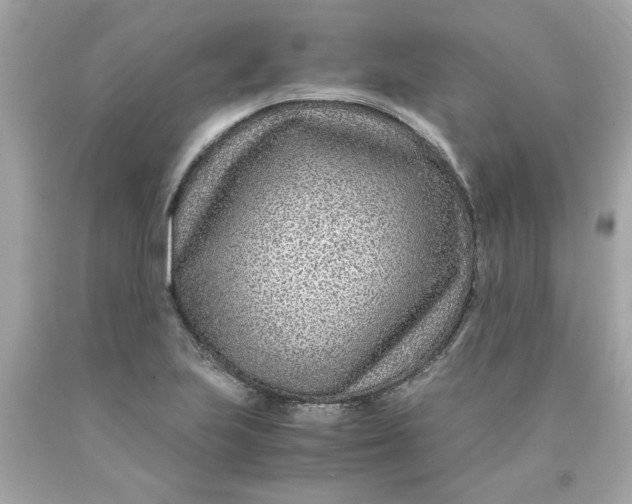 X0000089951223200707201918
