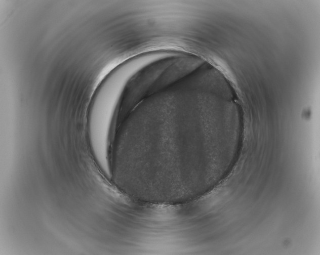 X0000089951226200707201918