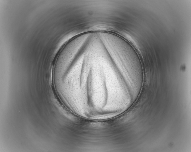 X0000089951227200707201918