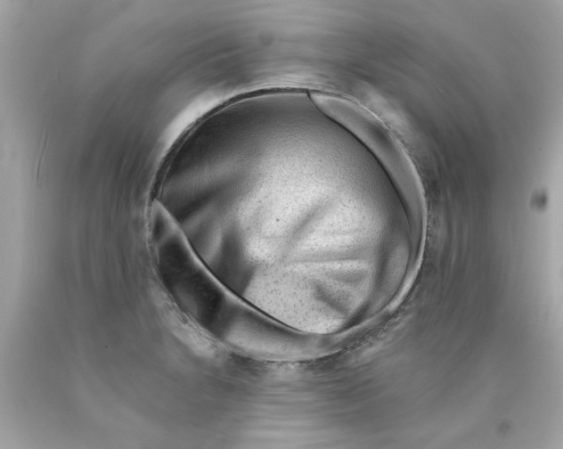 X0000089951230200707201918