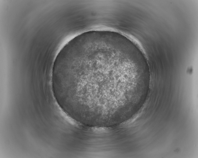 X0000089951231200707201918