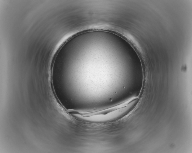 X0000089951232200707201918