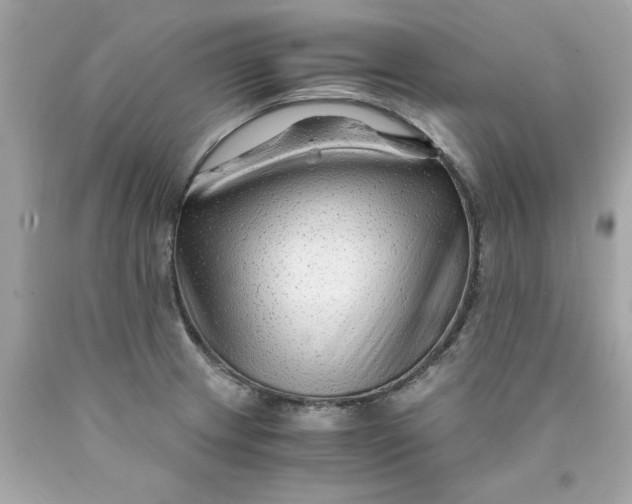 X0000089951233200707201918