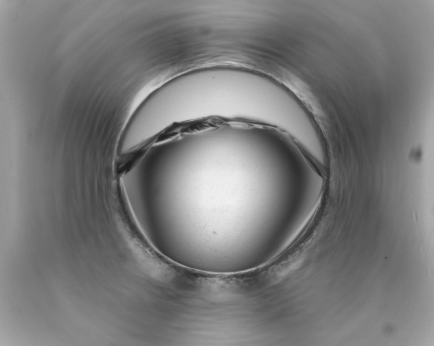 X0000089951234200707201918