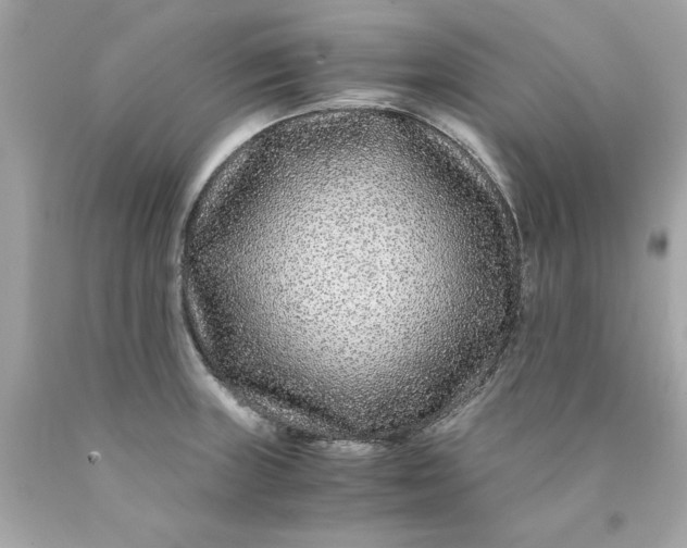 X0000089951235200707201918