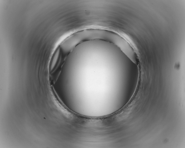 X0000089951238200707201918