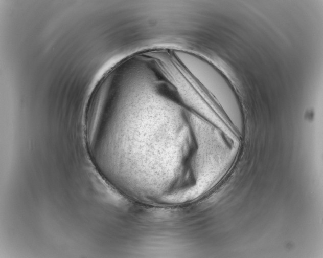 X0000089951240200707201918