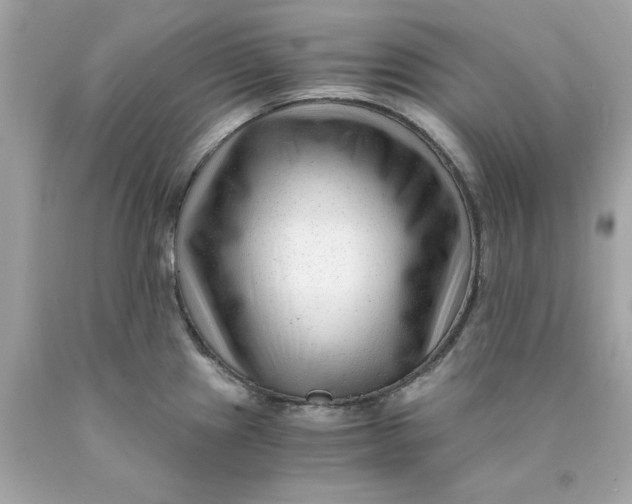 X0000089951241200707201918