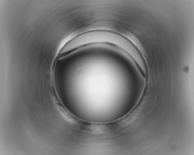 X0000089951242200707201918