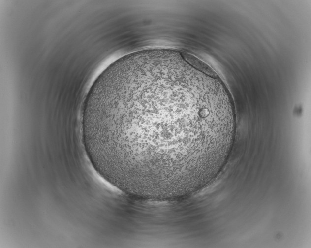 X0000089951243200707201918