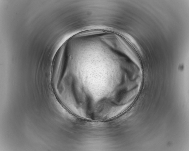 X0000089951244200707201918