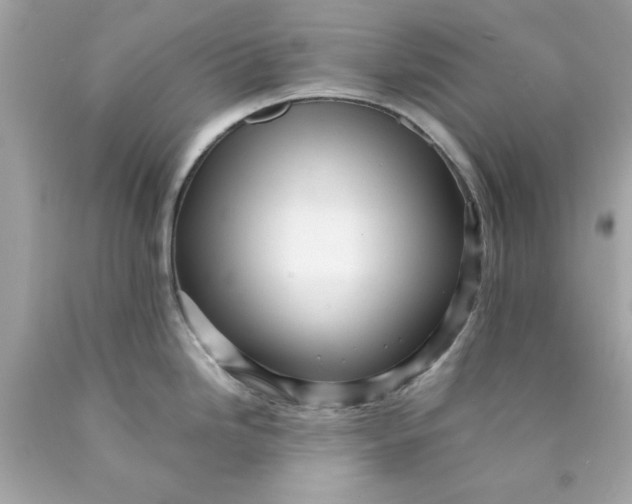 X0000089951246200707201918