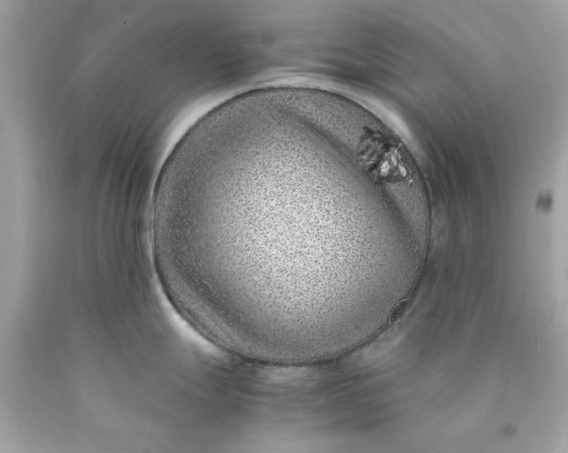 X0000089951247200707201918