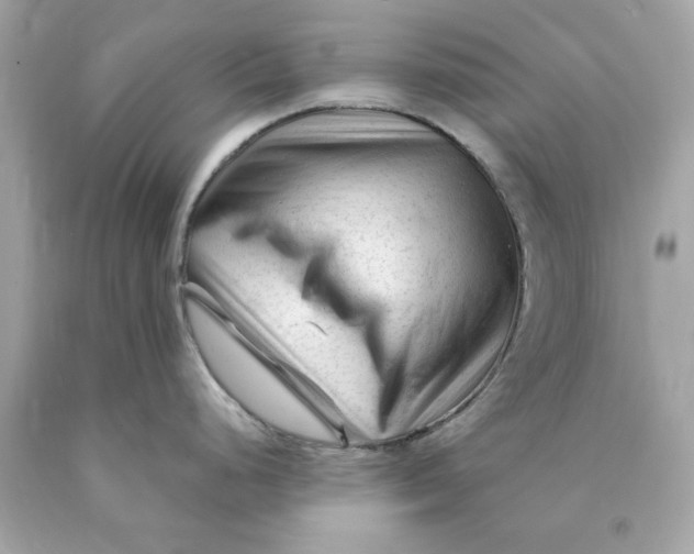 X0000089951248200707201918