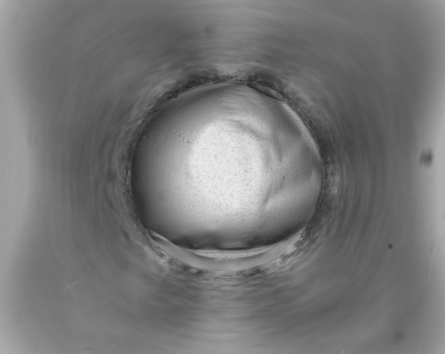 X0000089951249200707201918