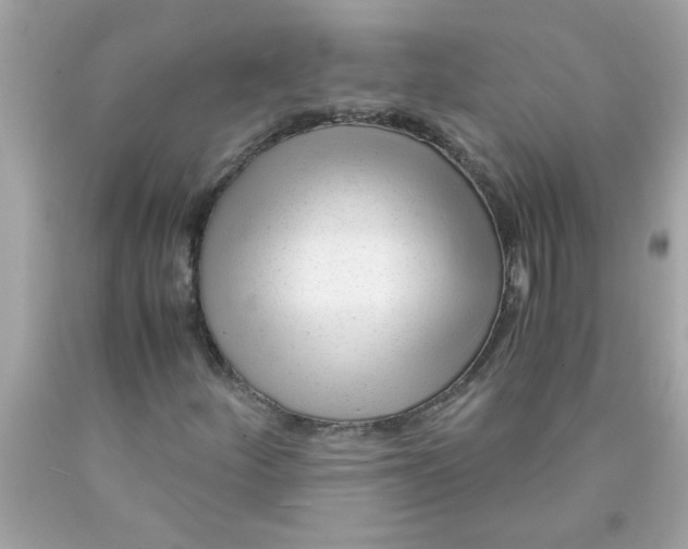 X0000089951252200707201917