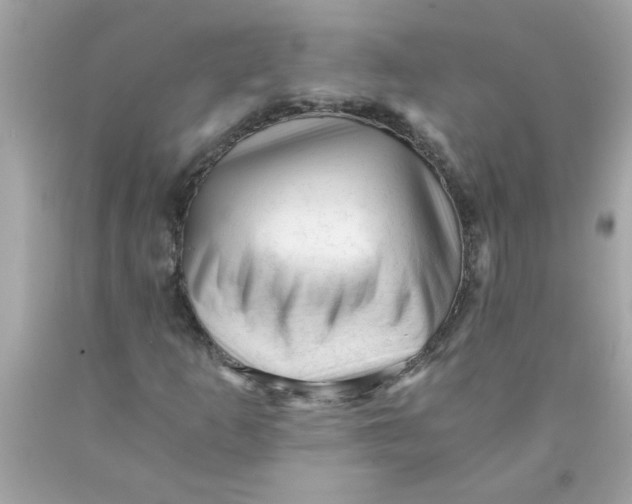 X0000089951253200707201917