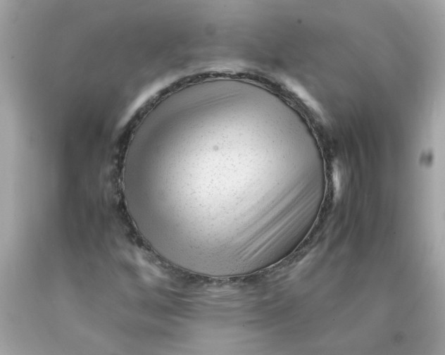 X0000089951256200707201917