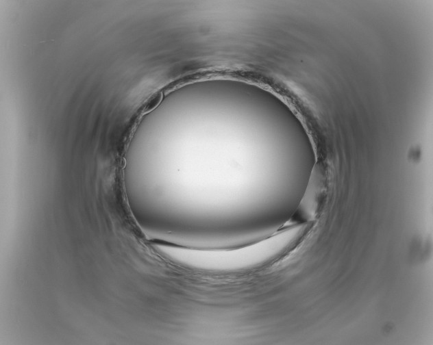X0000089951257200707201917