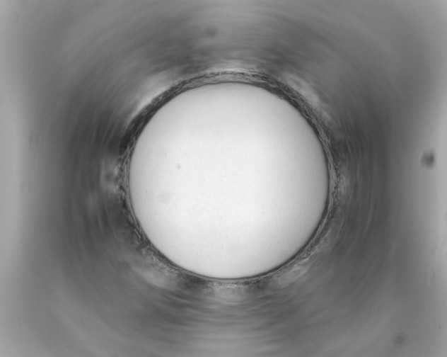 X0000089951258200707201917