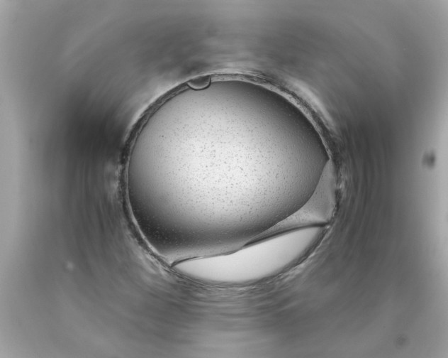 X0000089951260200707201917