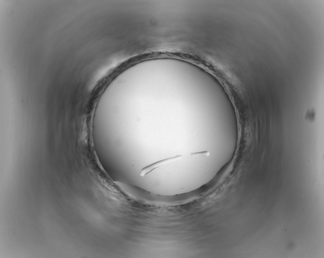 X0000089951262200707201917