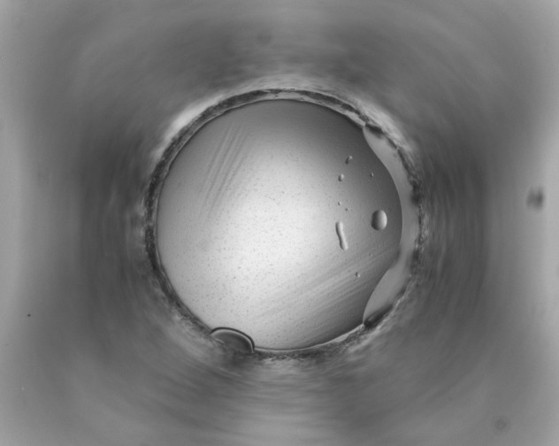 X0000089951264200707201917