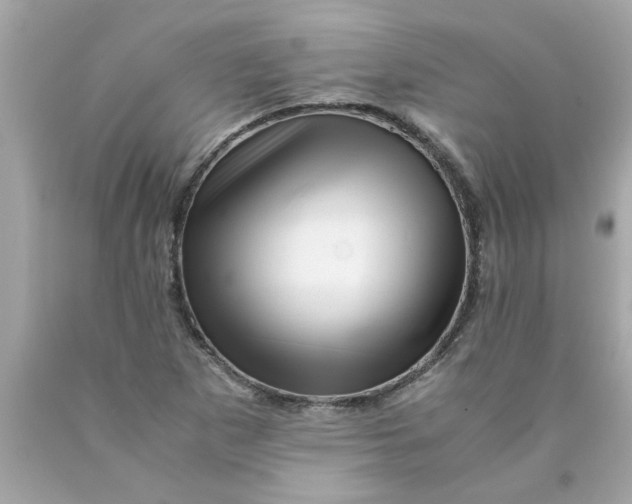 X0000089951265200707201917