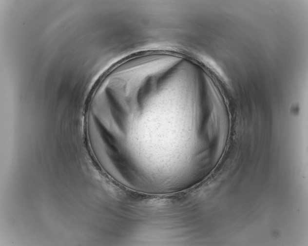 X0000089951268200707201917