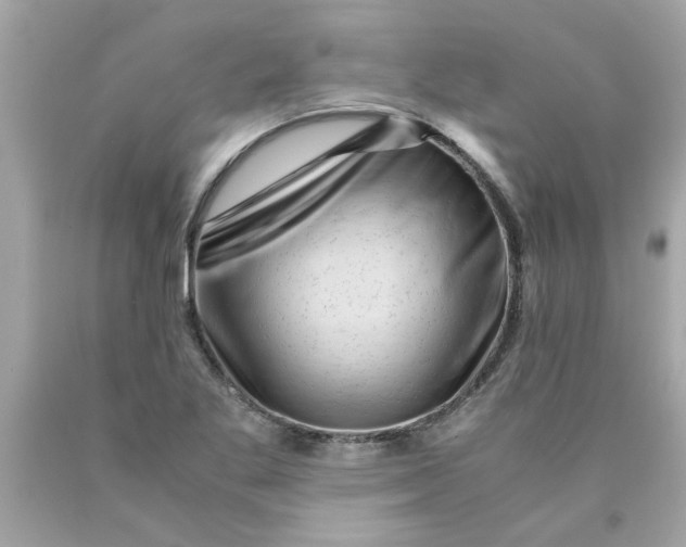 X0000089951269200707201917