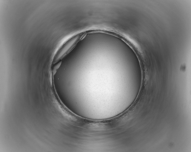 X0000089951272200707201917