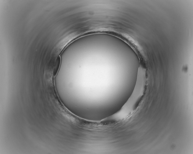 X0000089951273200707201917