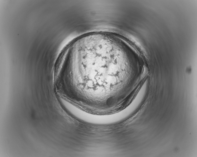 X0000089951275200707201917