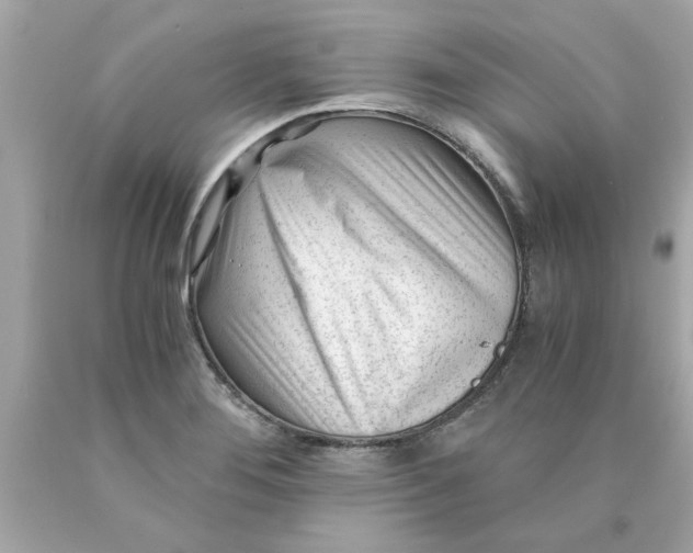 X0000089951276200707201917
