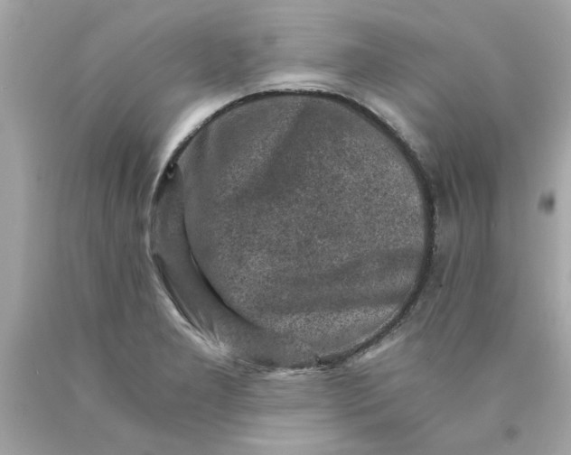 X0000089951277200707201917
