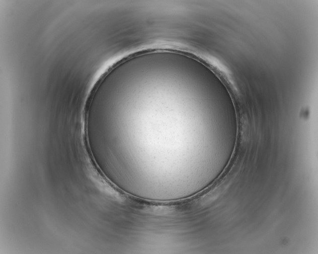 X0000089951280200707201917