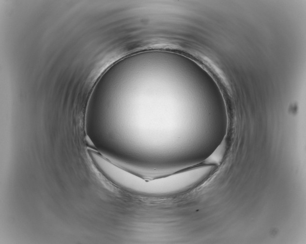 X0000089951281200707201917