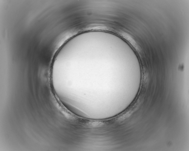 X0000089951282200707201917