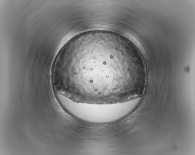 X0000089951283200707201917