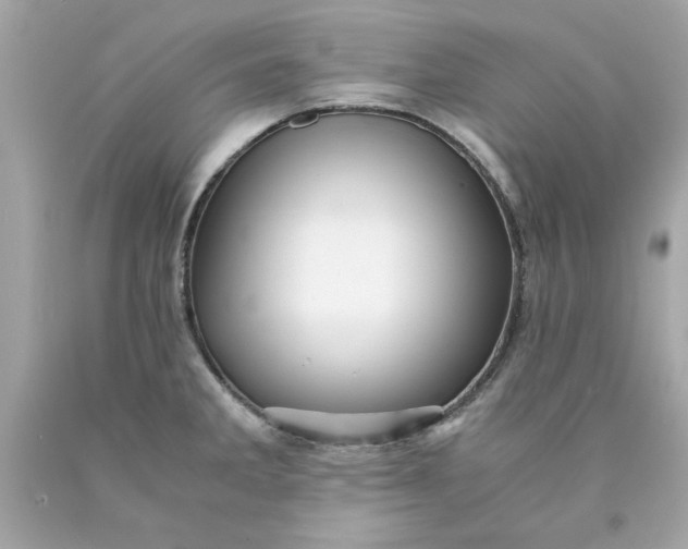 X0000089951285200707201917