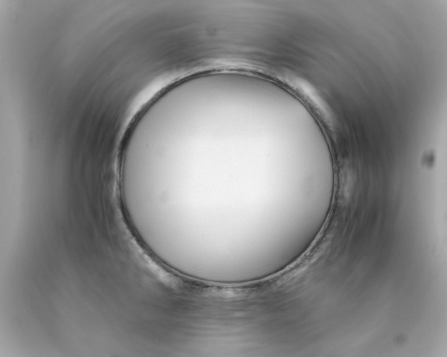 X0000089951286200707201917