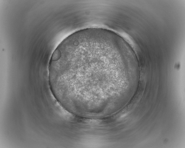 X0000089951287200707201917