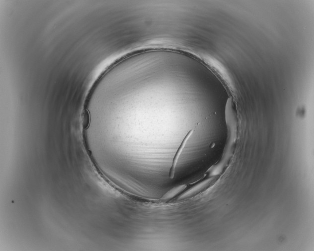 X0000089951288200707201917