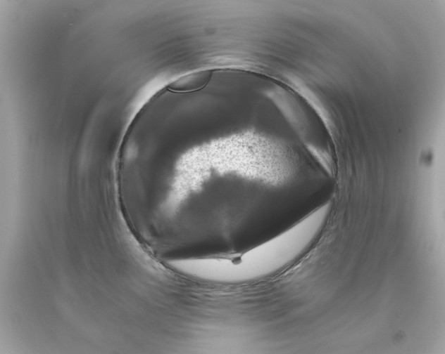 X0000089951291200707201917