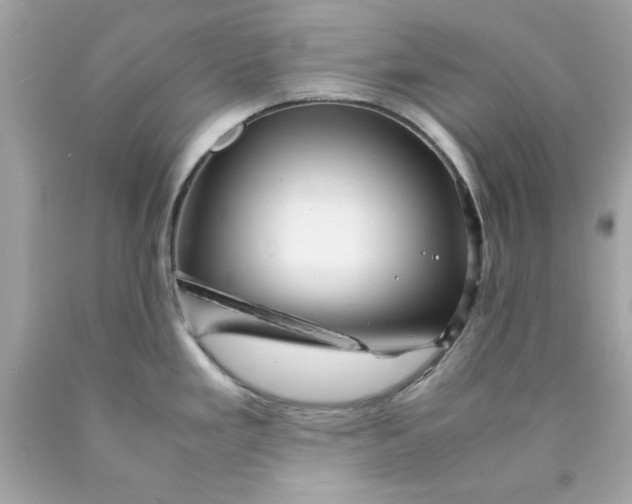 X0000089951293200707201917
