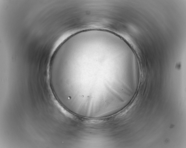 X0000089951294200707201917
