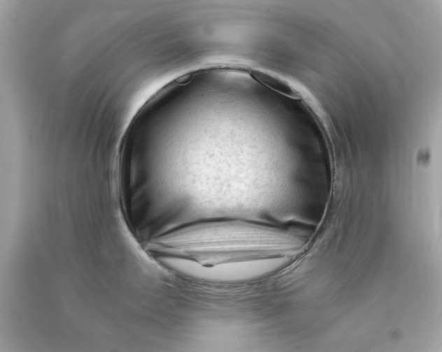 X0000089951295200707201917