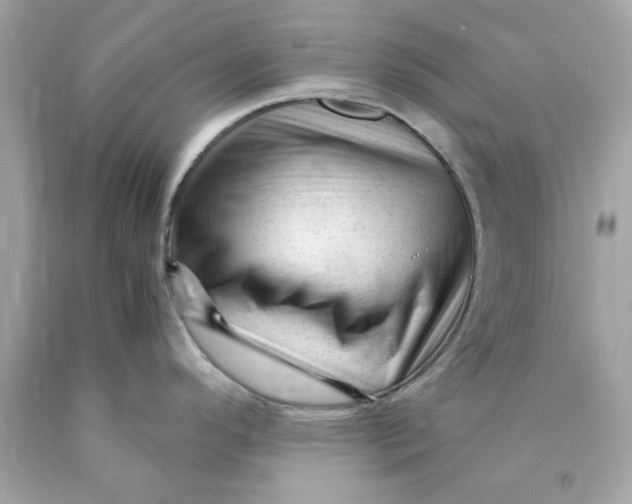 X0000089951296200707201917